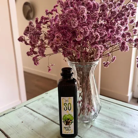 So Magoito Tiny House Синтра