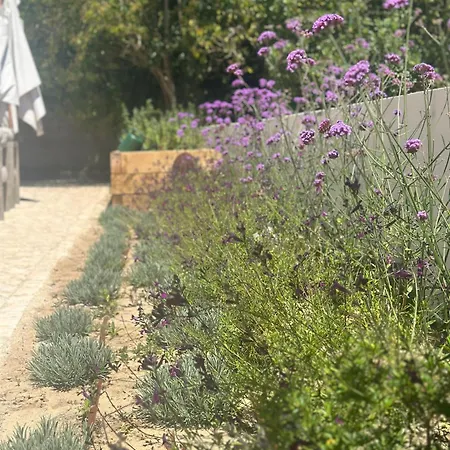 So Magoito Tiny House Синтра