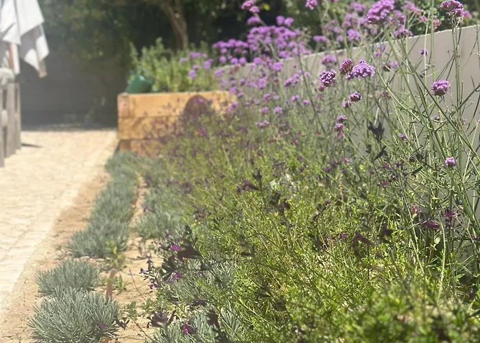 So Magoito Tiny House Sintra
